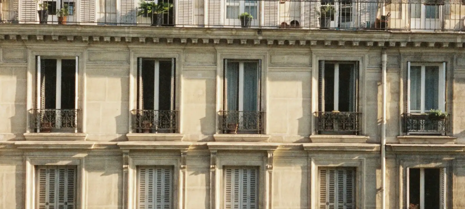 Parisian Haussmann rooftops